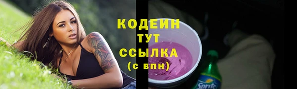 тгк Богданович