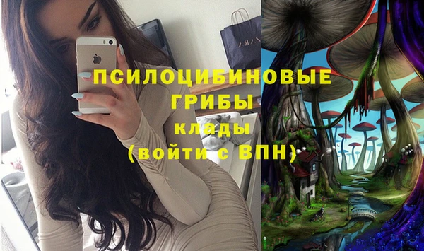 кристаллы Богородицк