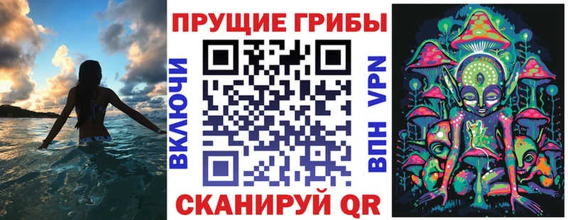 Псилоцибиновые грибы GOLDEN TEACHER  OMG зеркало  Свободный 