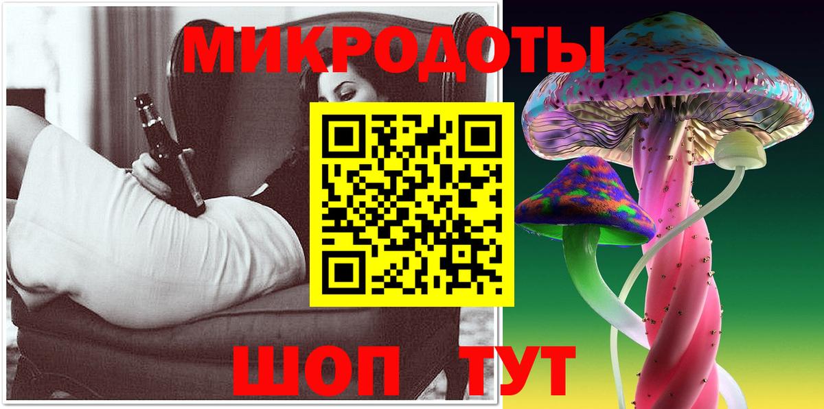 Галлюциногенные грибы Psilocybe Свободный