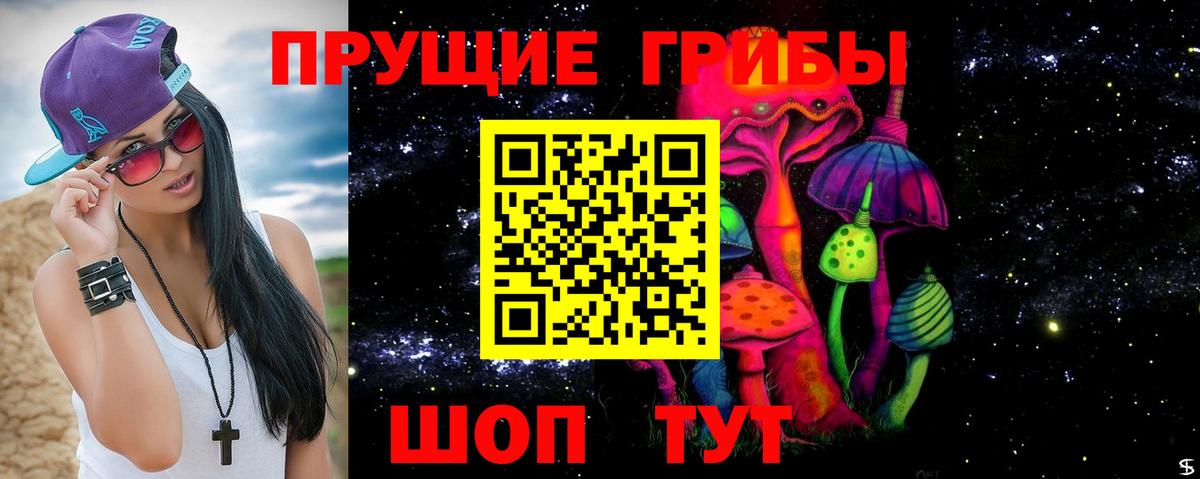 Псилоцибиновые грибы Psilocybe  Вход с VPN  Свободный 